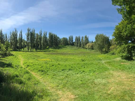 The proposed site for the bike park. Photo: Tony Skirrow.