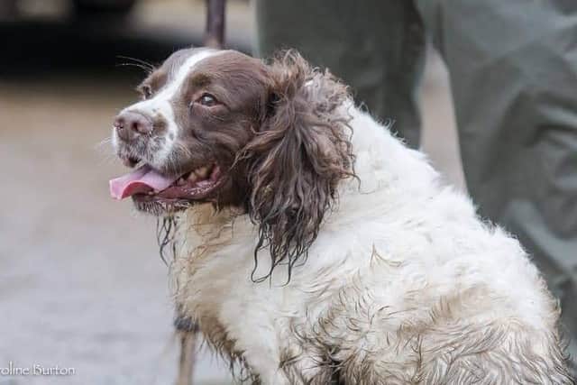 Flynn disappeared following a break-in Yelvertoft mroe than two weeks ago. P:hoto: Northants Police