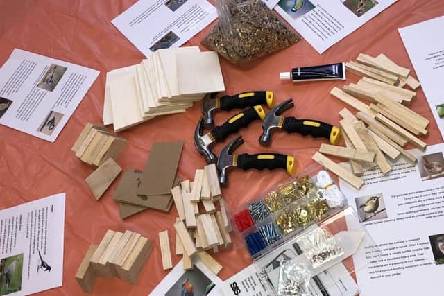 Activities include making bird boxes to help stimulate their brains and give them something fun to do.