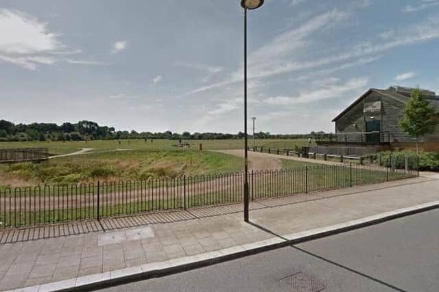 Several sheep have been attacked by dogs off the lead at Upton Country Park.