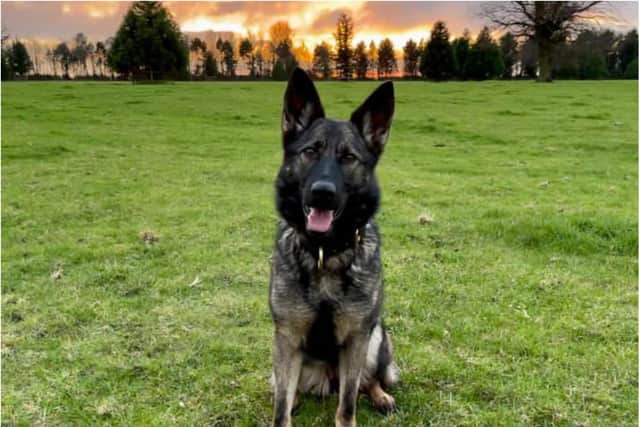The offender gave himself up after catching sight of PD Ebby.