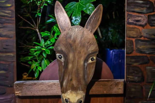 The donkey and stable are a big part of the scene. Photo: Kirsty Edmonds.