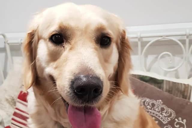 Could you be Bethany's new owner?