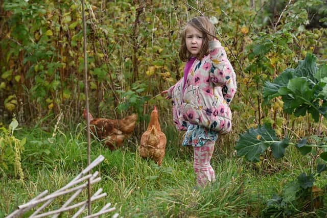 Donna's daughter follows her pet chickens