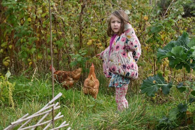 Donna's daughter follows her pet chickens