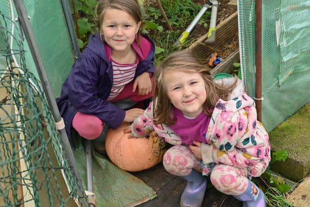 The allotment is an escape for all ages this year