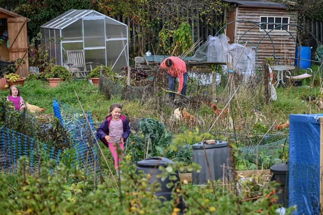 Donna pictured tending to her plot while her daughters enjoy being in the fresh air. Pictures by Louise Smith.