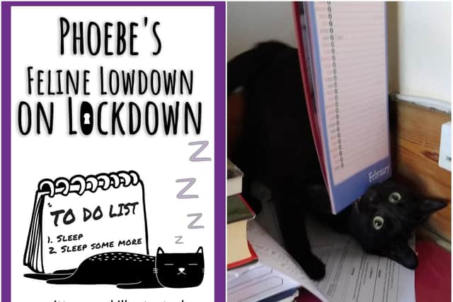"Phoebe's Feline Lowdown on Lockdown" has been created from a daily online diary from Upton author Sarah Veness.