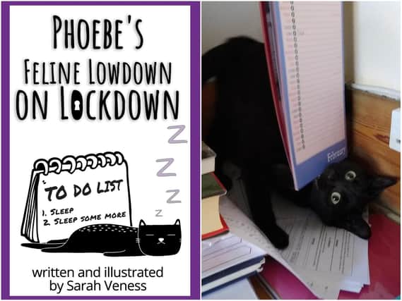 "Phoebe's Feline Lowdown on Lockdown" has been created from a daily online diary from Upton author Sarah Veness.