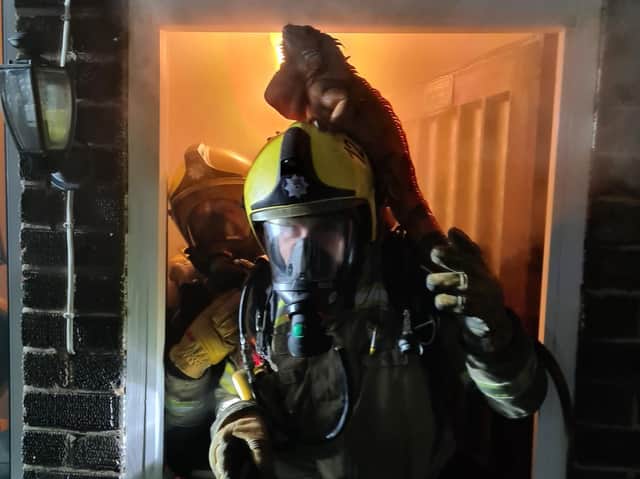 Iguana gets a lift of a fireman to find a quick way out of a smoke-filled property. Photo: @northantsfire