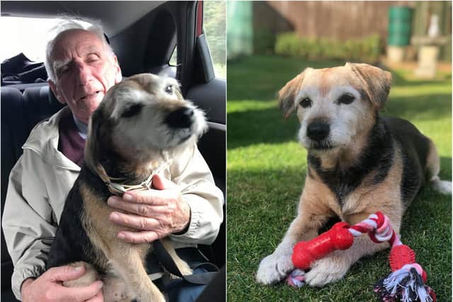 John Bond rescued Spencer three-and-a-half years ago, just after his wife died.