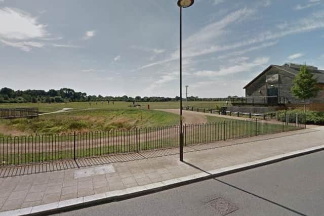 The incident between the dog and jogger was in Upton Country Park on Sunday. Photo: Google