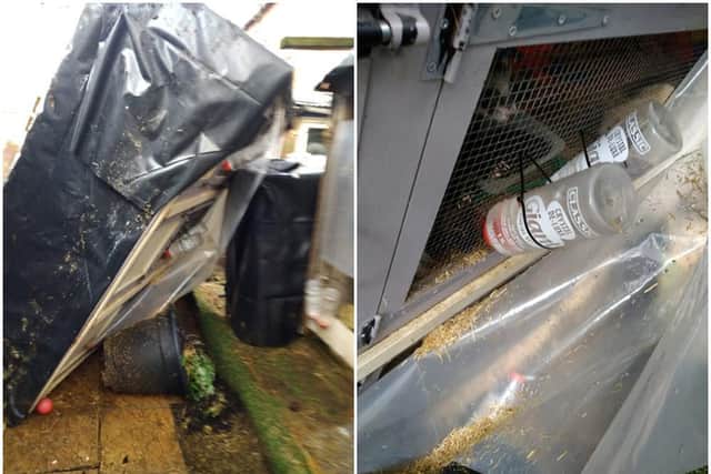 Abington Ferret Refuge's hutch with 17 ferrets inside was knocked over by the crash