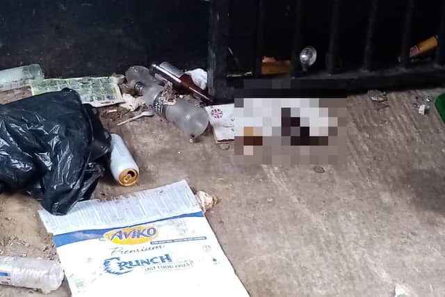 The alleyway is strewn with cans, fast food packaging, bin bags and human waste.