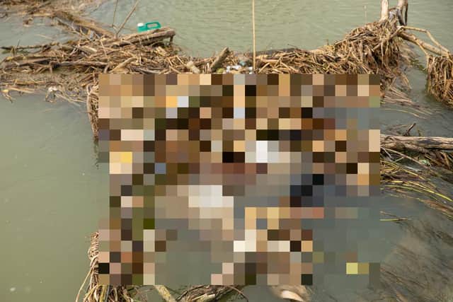 A dead horse has reportedly been in the River Nene in Northampton for several days.