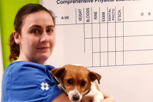 Paula Zurawel, from White Cross Vets
