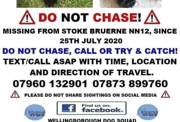 Members of the public are asked not to chase Lexi.
