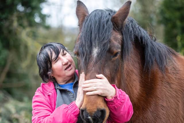 Horse trainer Ann McGettigan says she has seen three horses died in the past five years because of public overfeeding.