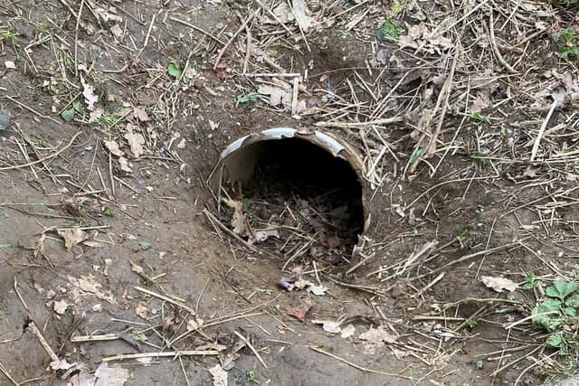 The badger sett was in woodland off Wooldale Road, Wootton, Northampton. Photo: Northamptonshire Badger Group