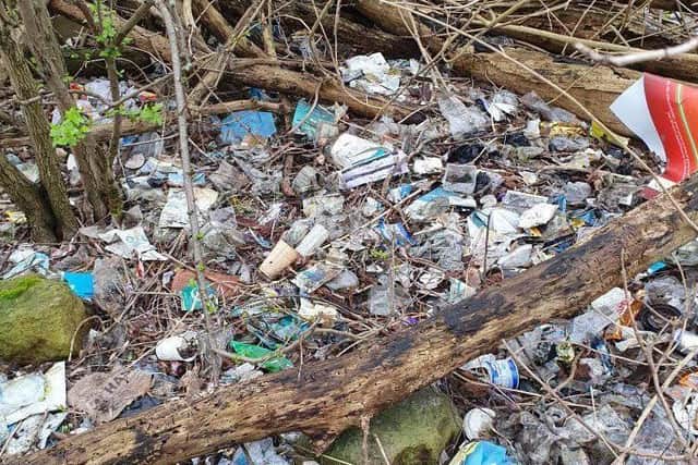 The rubbish in woodland next to the M1 southbound service station at junction 15a for Northampton. Photo: Kevin Doherty