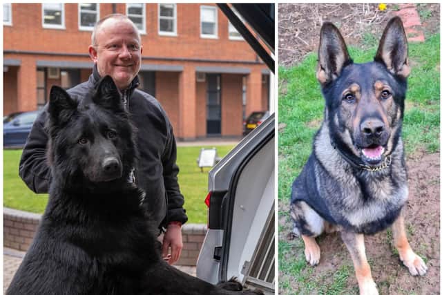 PD Mac tries out one of the new vehicles for size alongside handler PC Ian McDonald while (right) PD Rocky gets ready for duty
