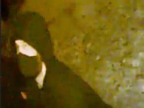 Police issued this CCTV image of a man they want to speak to following an attempted burglary in Duston