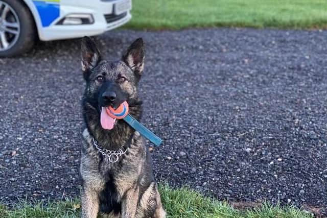 A man has been charged with reportedly causing unnecessary suffering to police dog Ebby in an incident in October 2020.