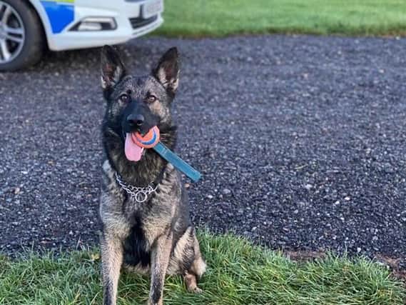 A man has been charged with reportedly causing unnecessary suffering to police dog Ebby in an incident in October 2020.