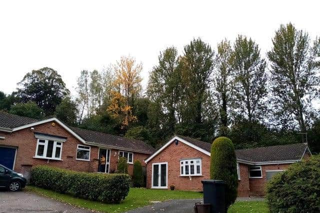 The trees in this picture (taken October 2020) have been left standing despite a promise by the council to cut them down before March.
