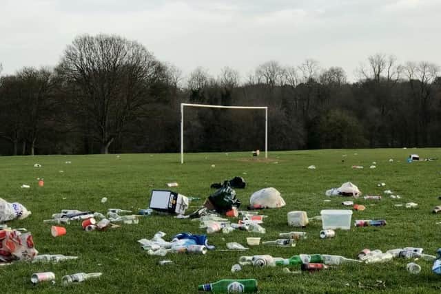 Litter in Abington Park this morning (March 31). Photo: Chris Calnan.