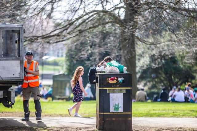 If park bins are full, please take your litter home. Photo: Kirsty Edmonds.
