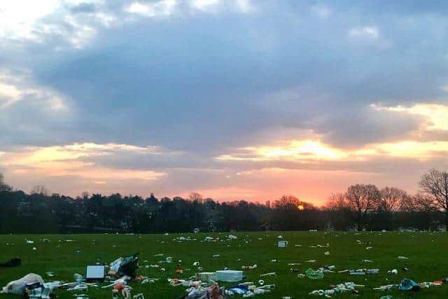 The sea of litter found yesterday morning (March 31). Photo: Katie Perry.