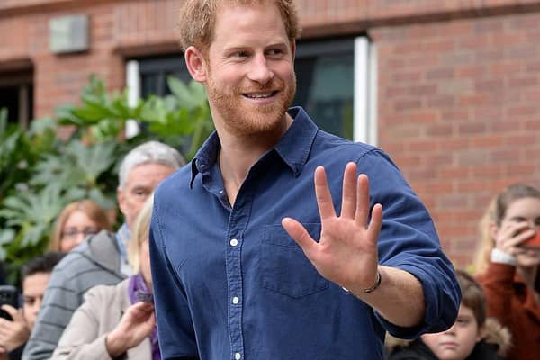 The Duke of Sussex Prince Harry. Photo: Getty Images