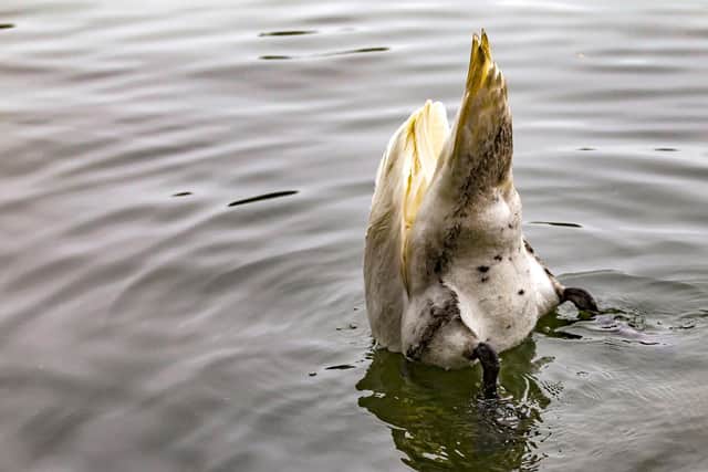 One resident said the spill was "so thick you could taste it". Credit: Keith J Smith Photography