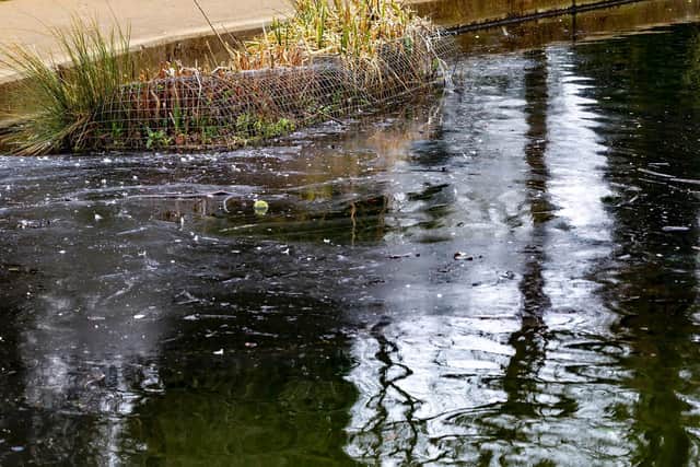 Northampton Borough Council's park contractors away the oil on Sunday morning. Credit: Keith J Smith Photography.