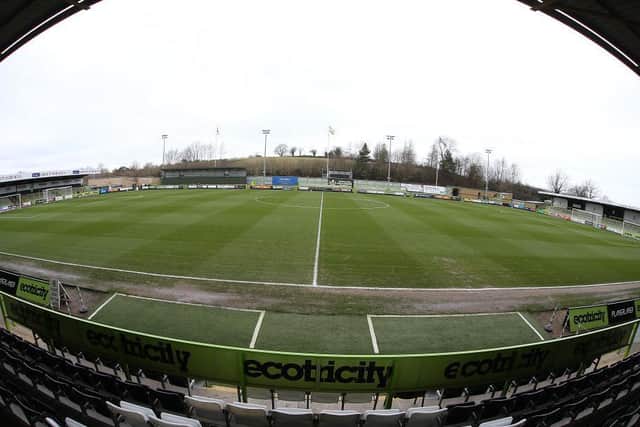 The New Lawn