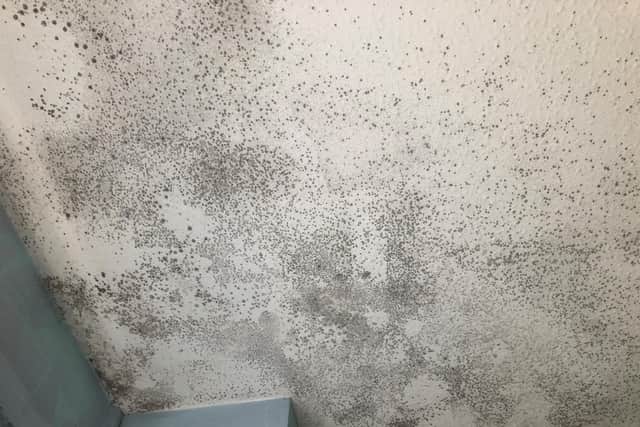 Stacey's celiling still remains covered in mould despite countless times scrubbing it
