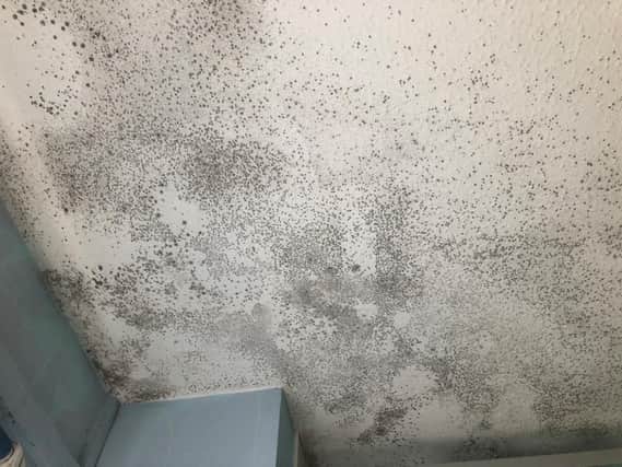 Stacey's celiling still remains covered in mould despite countless times scrubbing it