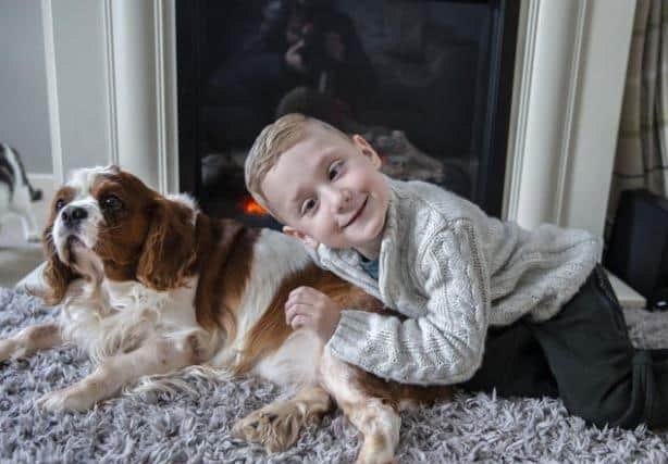 Harry pictured after his operation at home with his dog, Jasper.