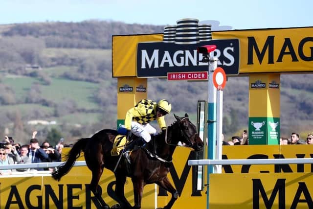 Al Boum Photo and Paul Townend pass the finish line to retain the Magners Gold Cup