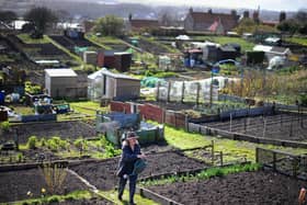 Allotment holders have been asked to adopt a 'common-sense approach' and maintain at least the two-metre prescribed distance from one another. (File picture).
