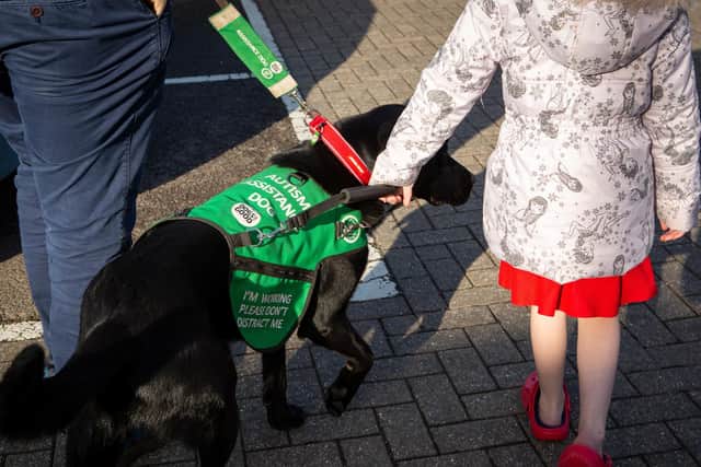 Steven, Emily and Oslo on a shopping trip. Photo: Dogs for Good