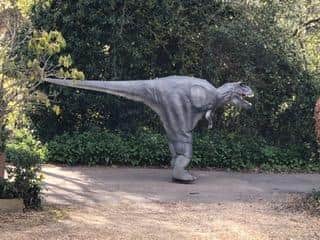 The costume is a huge four and half metres long.