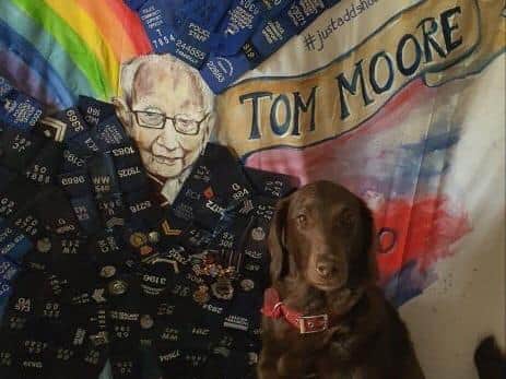 Sam's three-year-old Labradoodle, Betty with the mural.