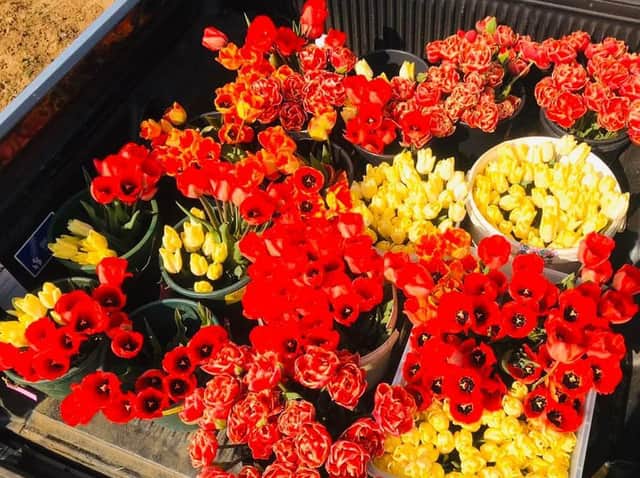 More than 40 bunches of tulips were picked on Friday to lift the spirits of nurses, teachers, pharmacists and the residents at Ashurst Mews care home in Moulton.