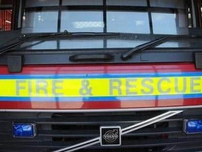 Firefighters were called to rescue a teenager and a kitten.