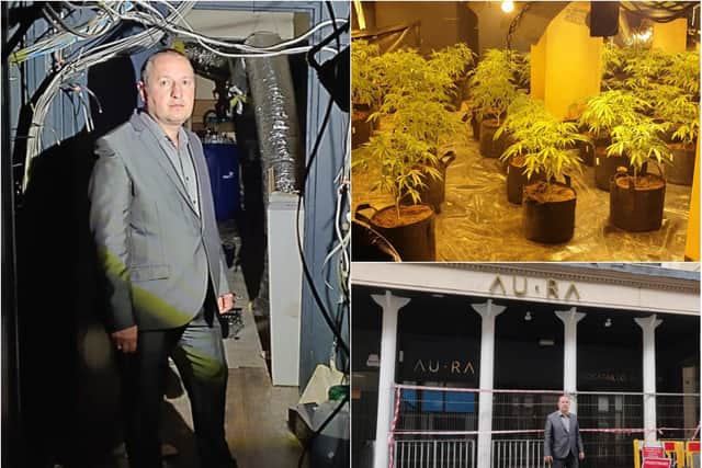 Landlord Paul Kuznecovs had to run from his own nightclub last week after discovering criminals had set up a cannabis factory on site.