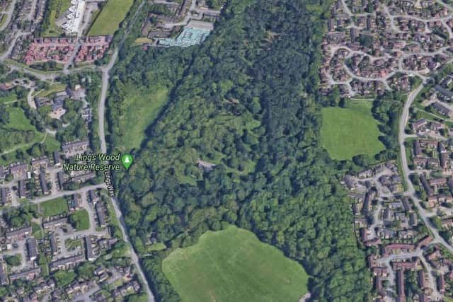 Remains were uncovered in Lings Wood yesterday (Monday)