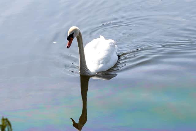 Pictures taken at Billing Marina by Leila Coker on 27 April.
