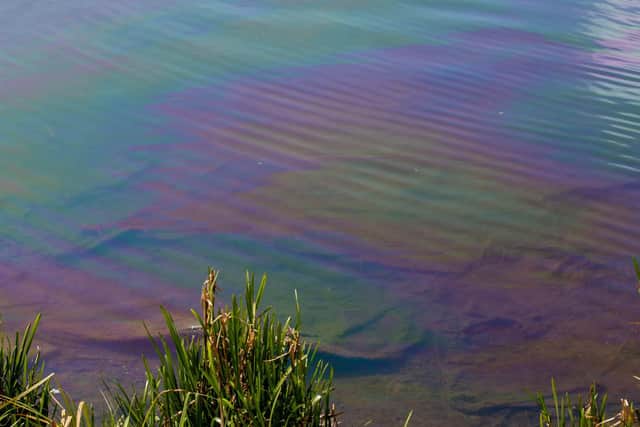 Pictures taken at Billing Marina by Leila Coker on 27 April.